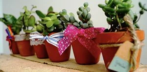 Lembrancinhas de casamento