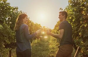 Casal tomando vinho: Razões pelas quais é um bom hábito!